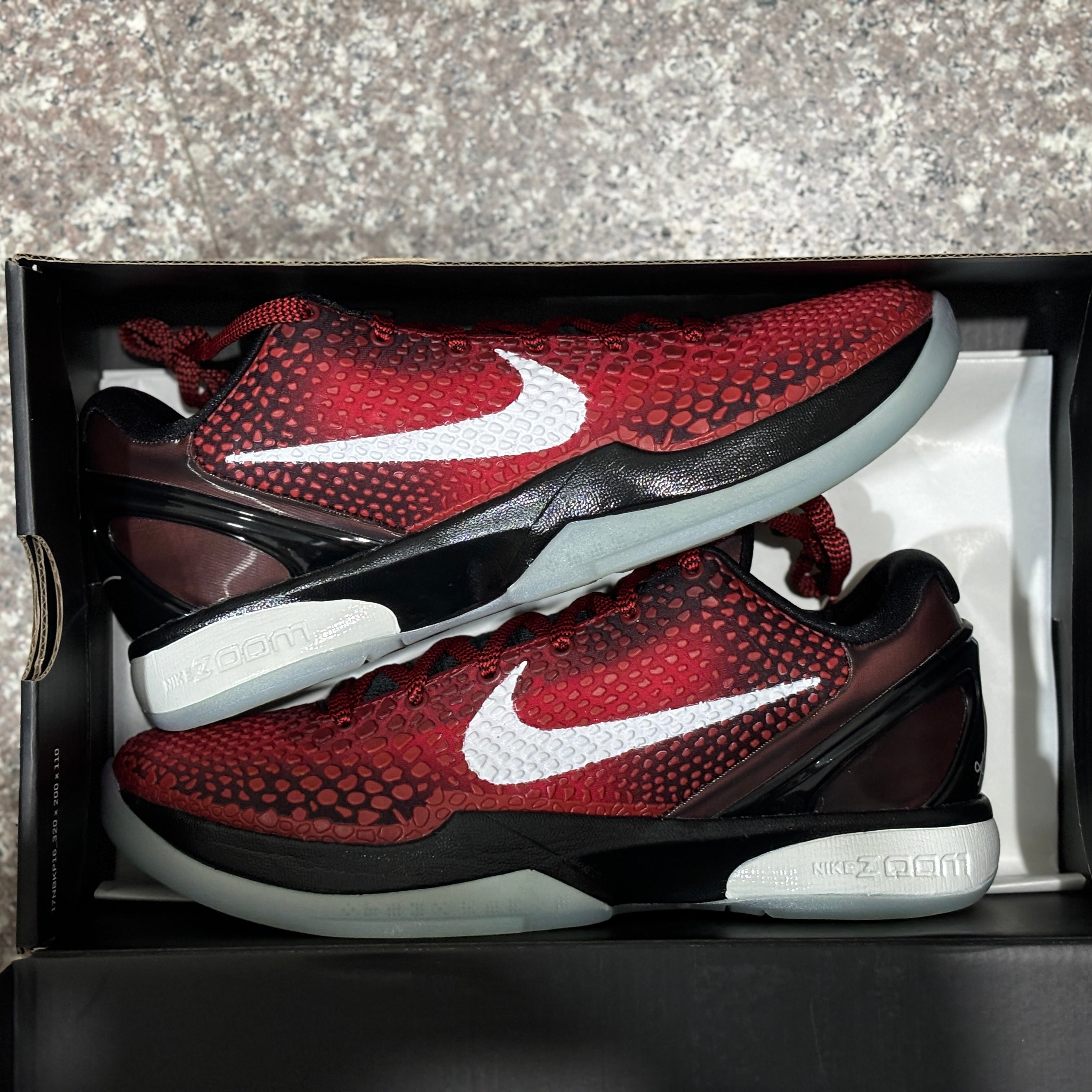 All Kobe 6's