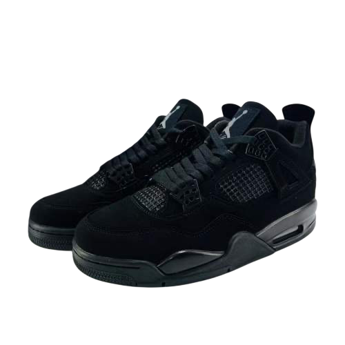 Jordan 4s