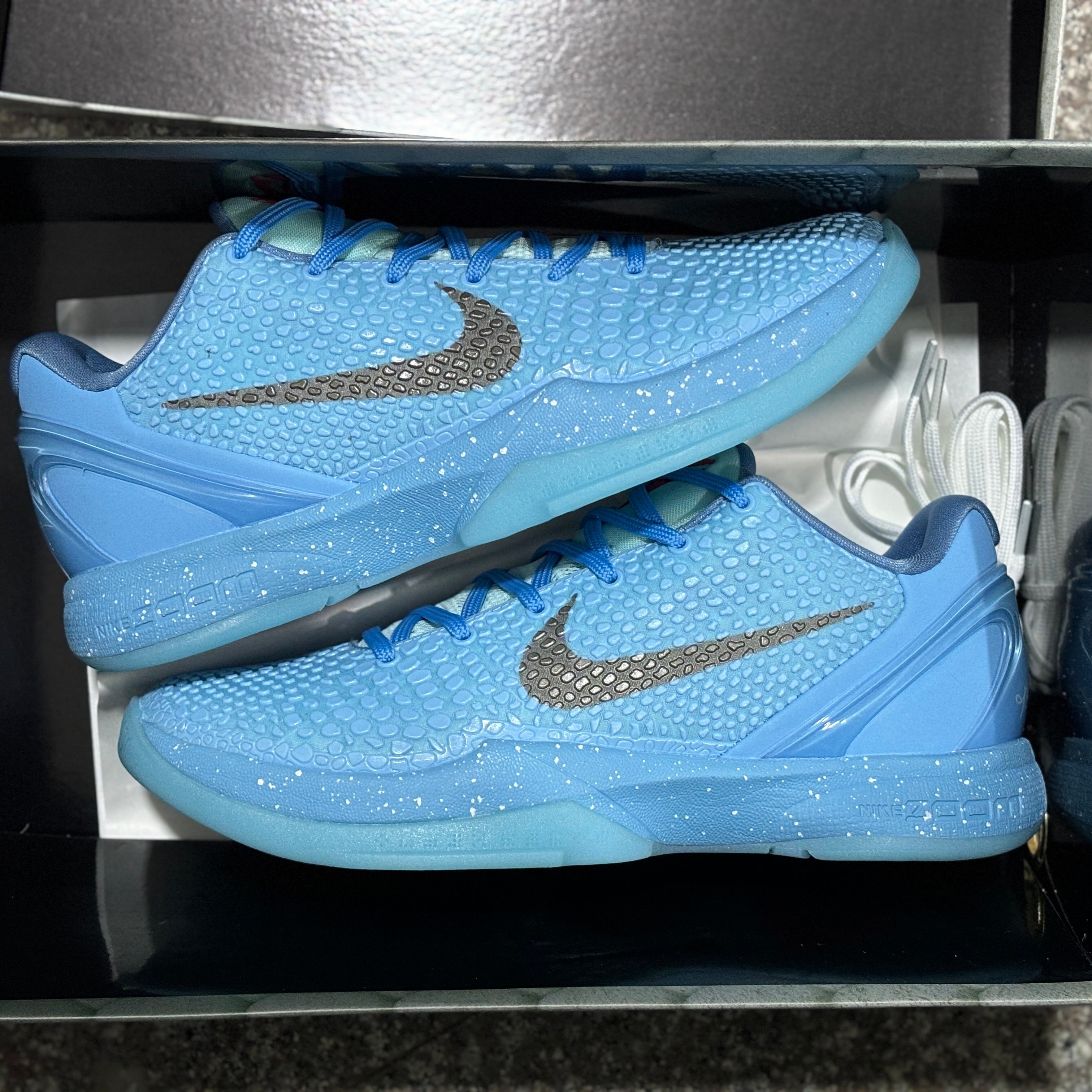 All Kobe 6's