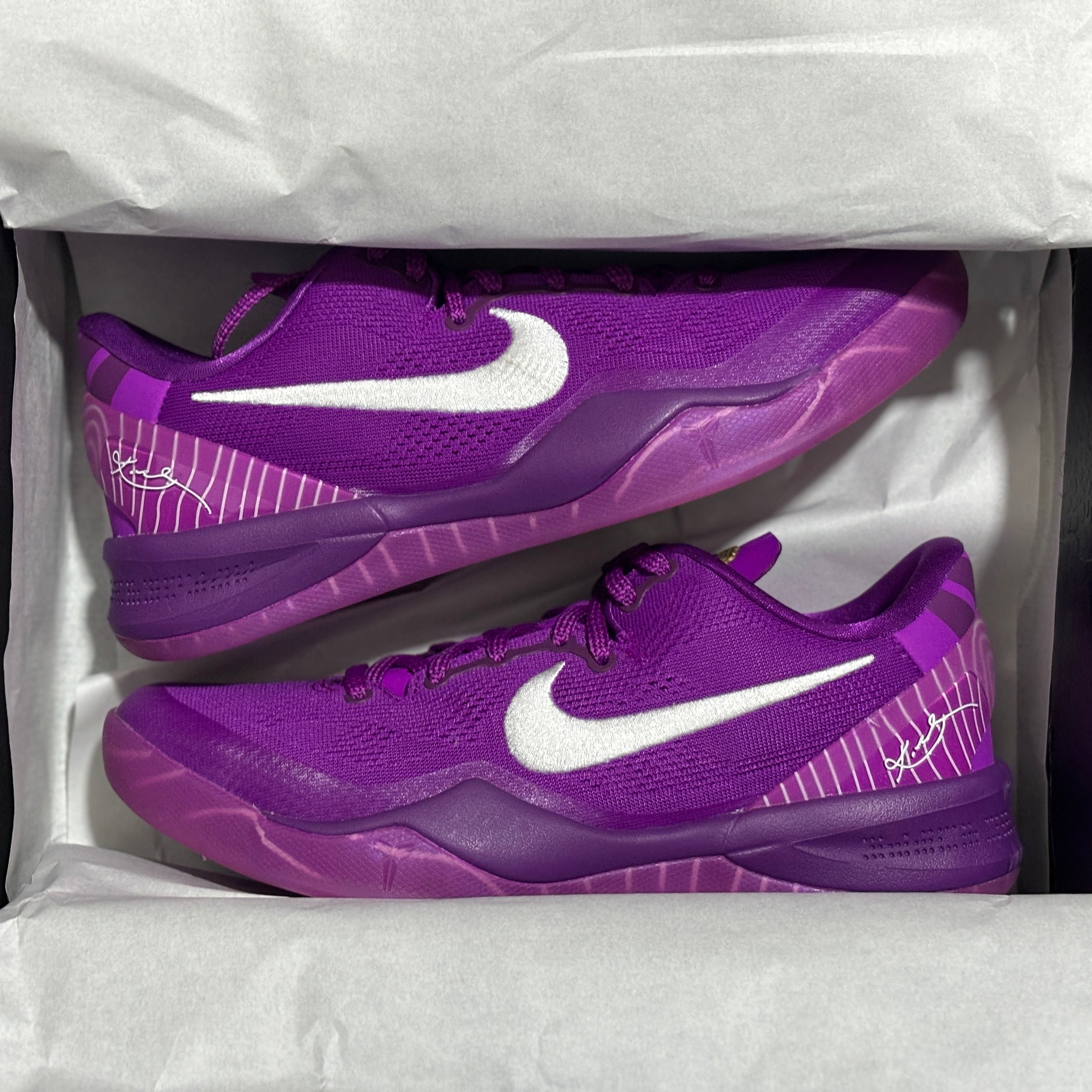 All Kobe 8's